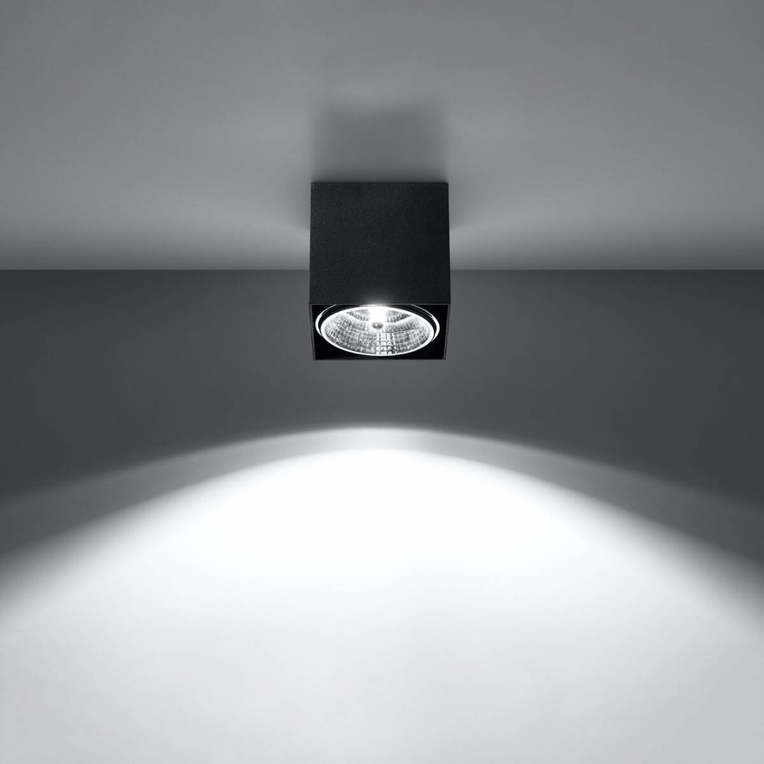Deckenleuchte "Blake" – Deckenlampen in Schwarz | Dexity Lichtdesign