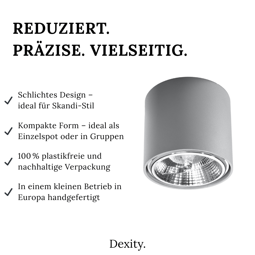 Deckenleuchte "Tiube" – Deckenlampen in Grau | Dexity Lichtdesign
