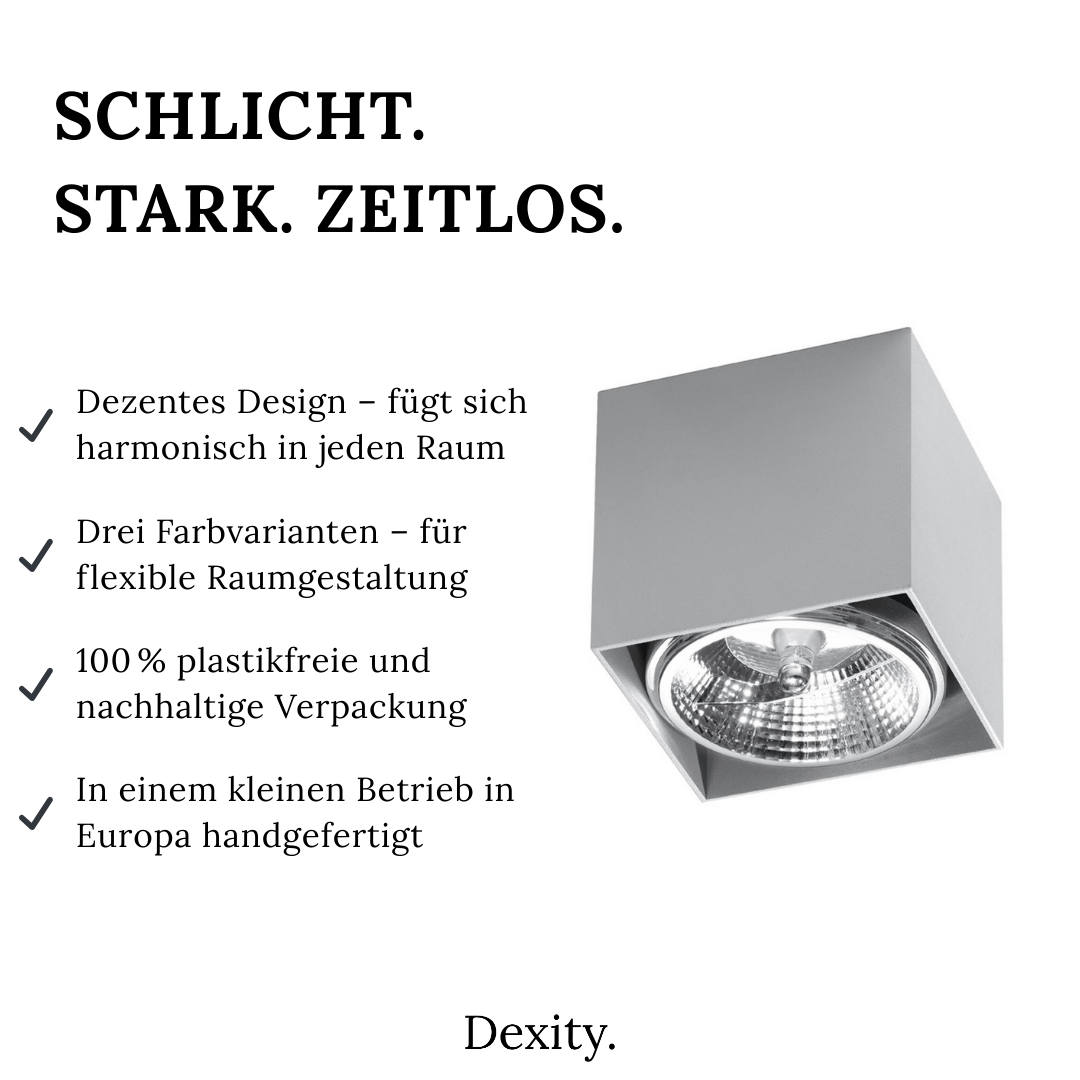 Deckenleuchte "Blake" – Deckenlampen in Grau | Dexity Lichtdesign