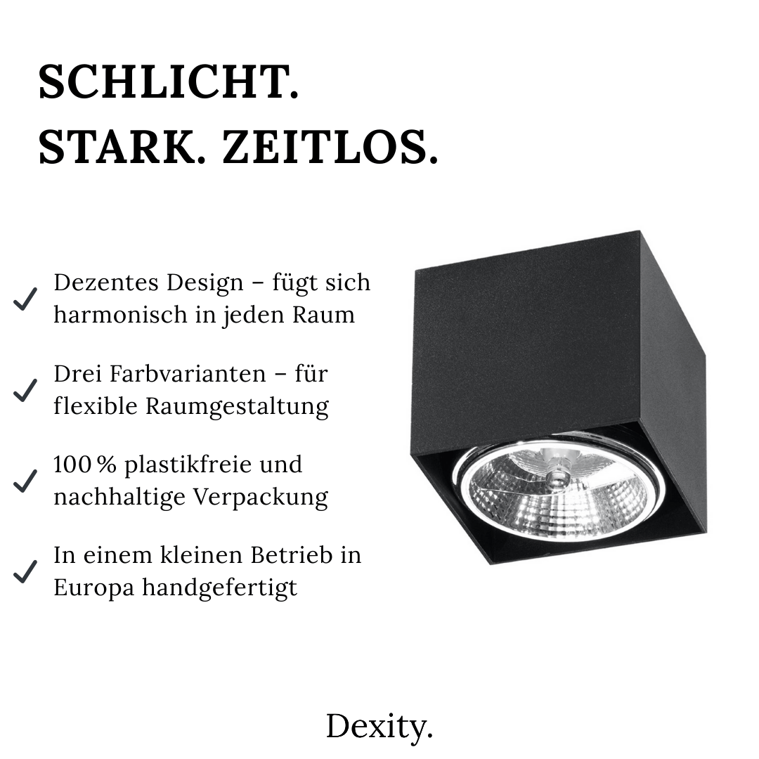 Deckenleuchte "Blake" – Deckenlampen in Schwarz | Dexity Lichtdesign