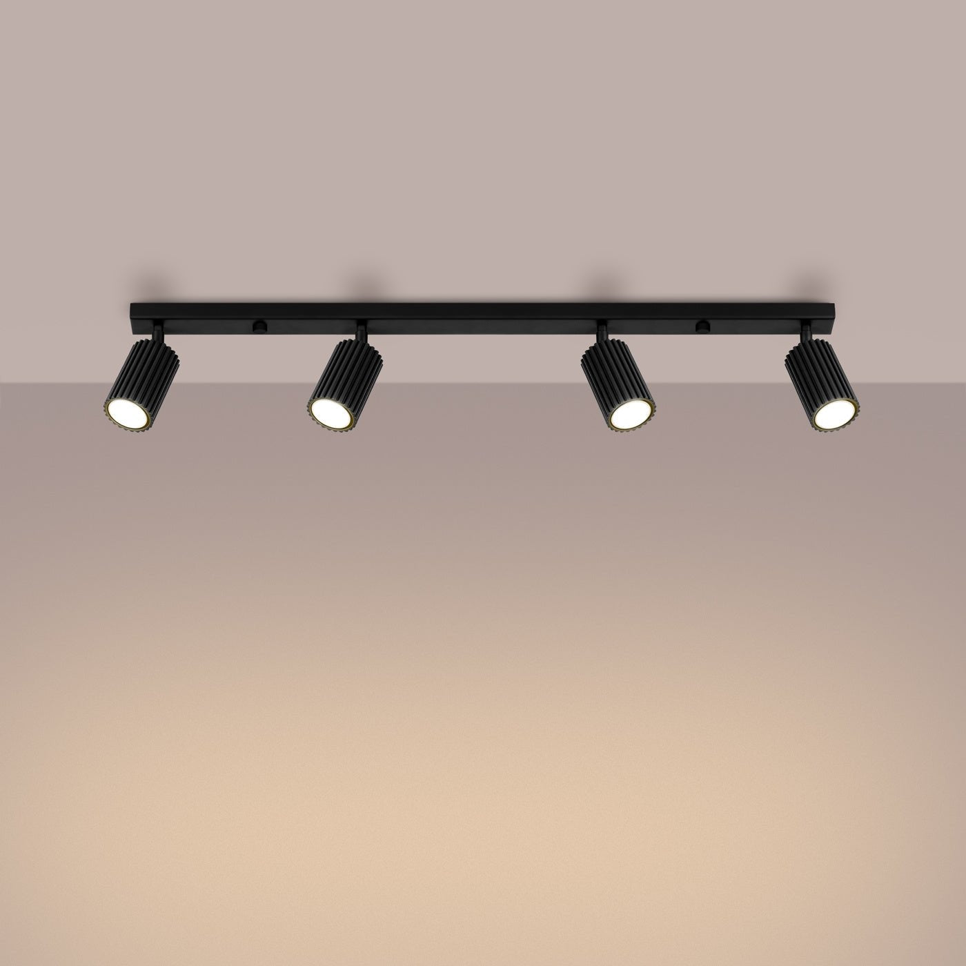 Deckenleuchte "KARBON 4L" – Deckenleuchte in Schwarz | Dexity Lichtdesign