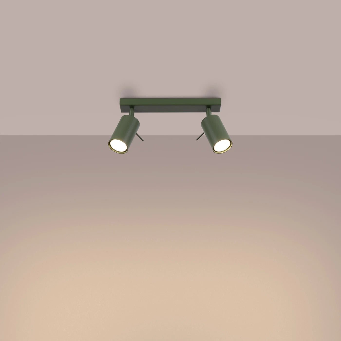 Deckenleuchte "RING 2" – Deckenleuchte in Olivgrün | Dexity Lichtdesign