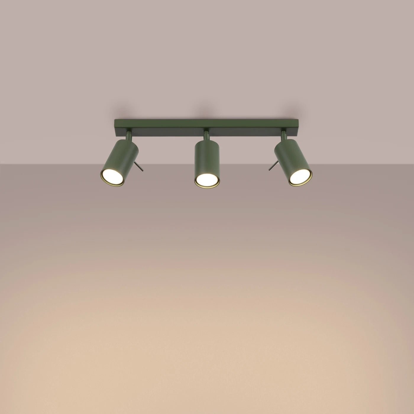 Deckenleuchte "RING 3L" – Deckenleuchte in Olivgrün | Dexity Lichtdesign