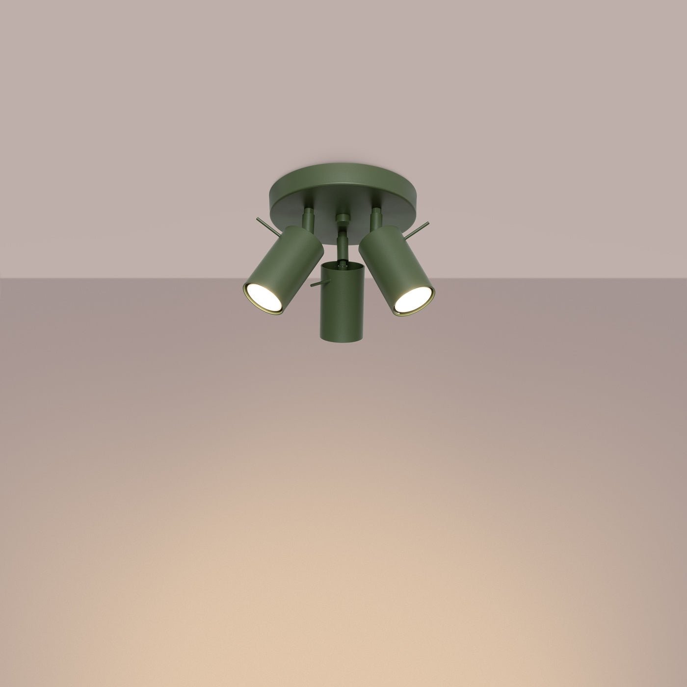 Deckenleuchte "RING 3P" – Deckenleuchte in Olivgrün | Dexity Lichtdesign