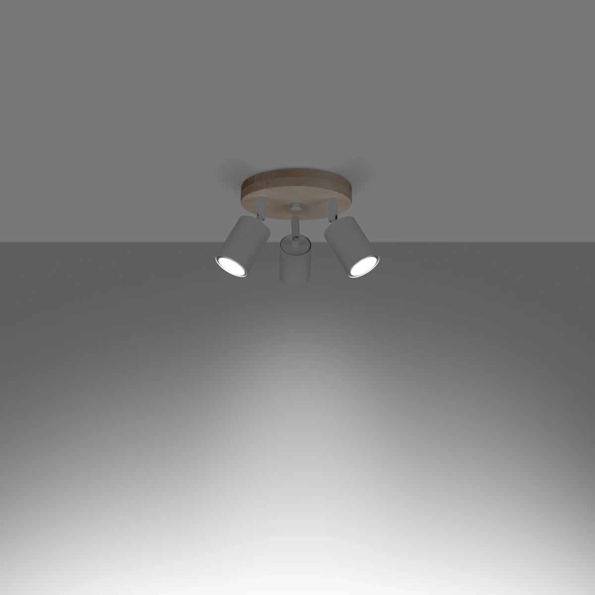 Deckenleuchte "VERDO 3P"
