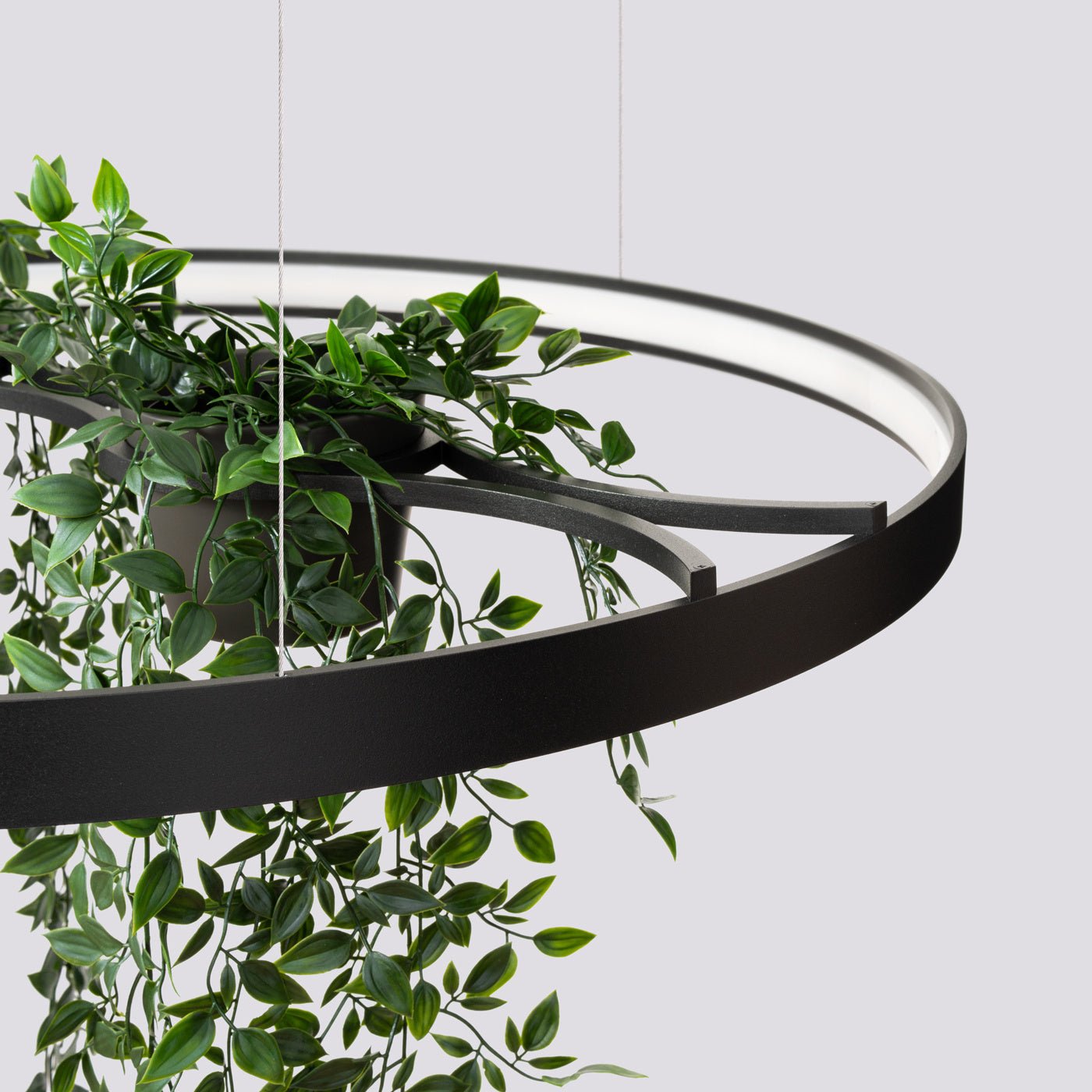 Kronleuchter "RIO BIO 78" 3000K – Pendelleuchte in | Dexity Lichtdesign