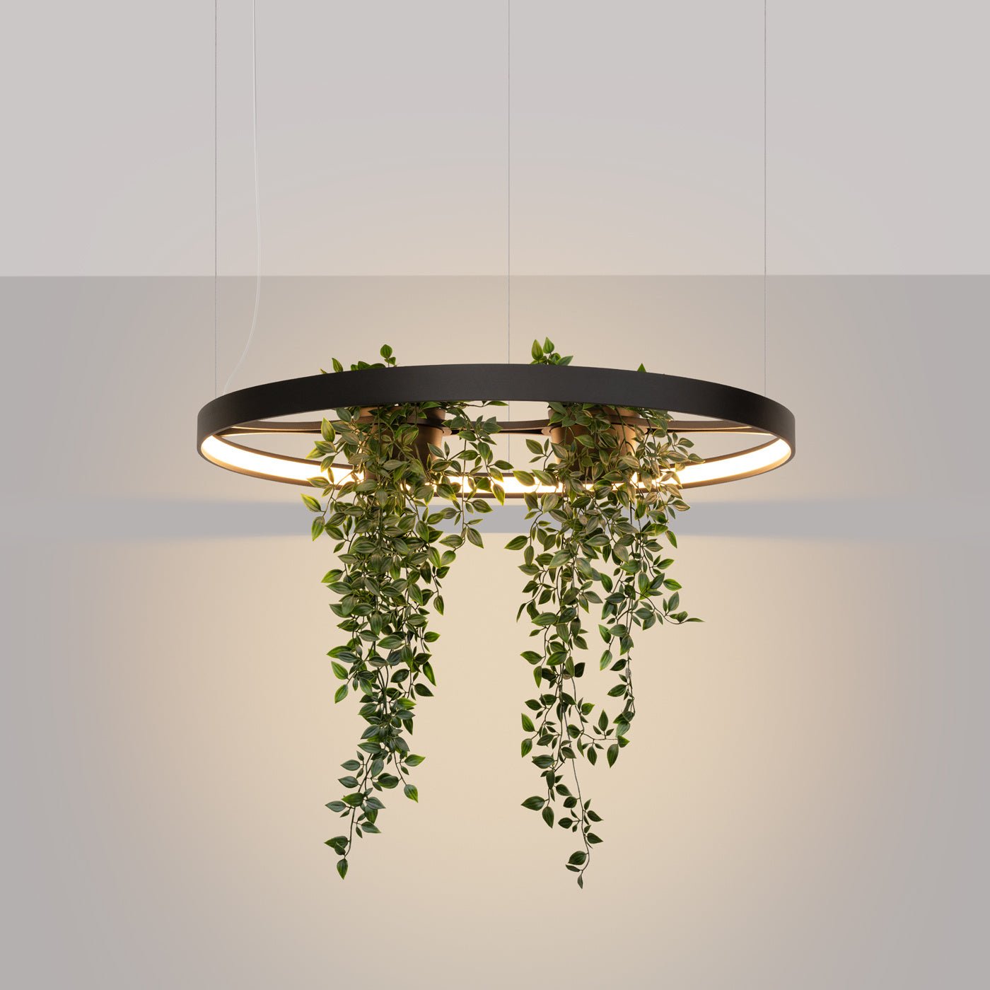 Kronleuchter "RIO BIO 78" 3000K – Pendelleuchte in | Dexity Lichtdesign