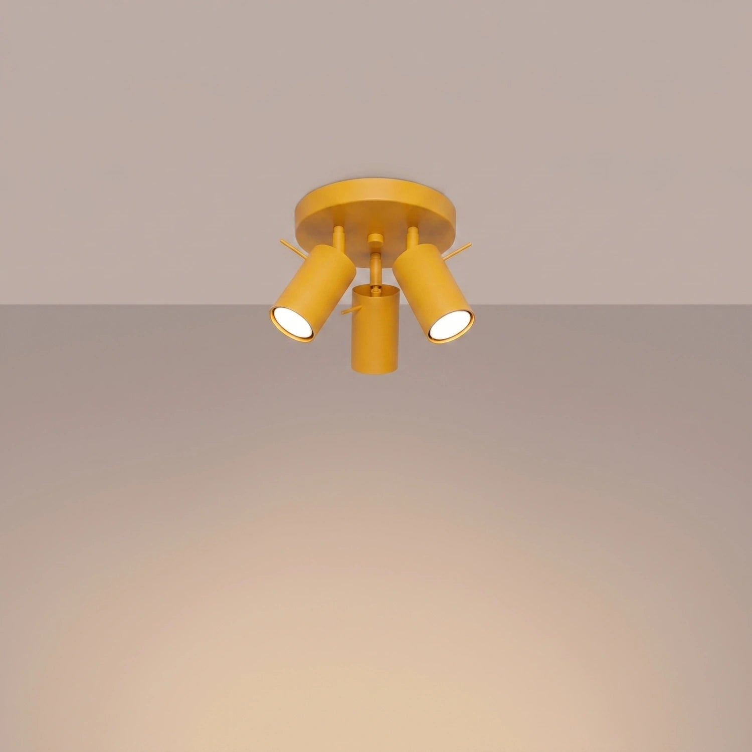 Deckenleuchte "RING 3P"