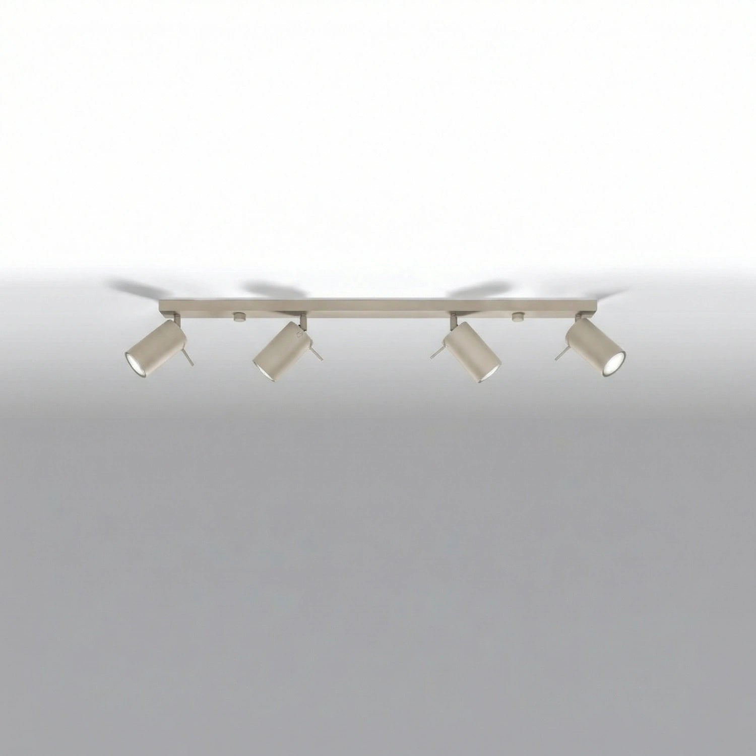 Deckenleuchte "RING 4L"