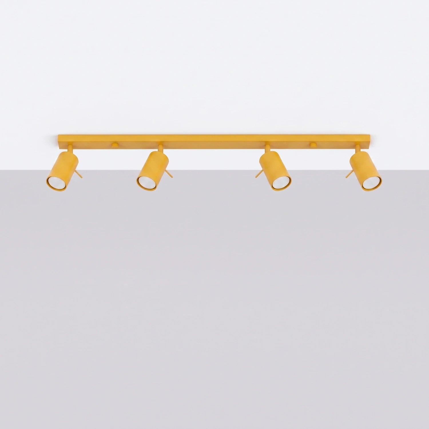 Deckenleuchte "RING 4L"