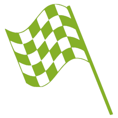 Grünes Zielflaggen-Symbol – steht für schnelle Lieferung, Zielerreichung und Servicequalität bei Dexity.