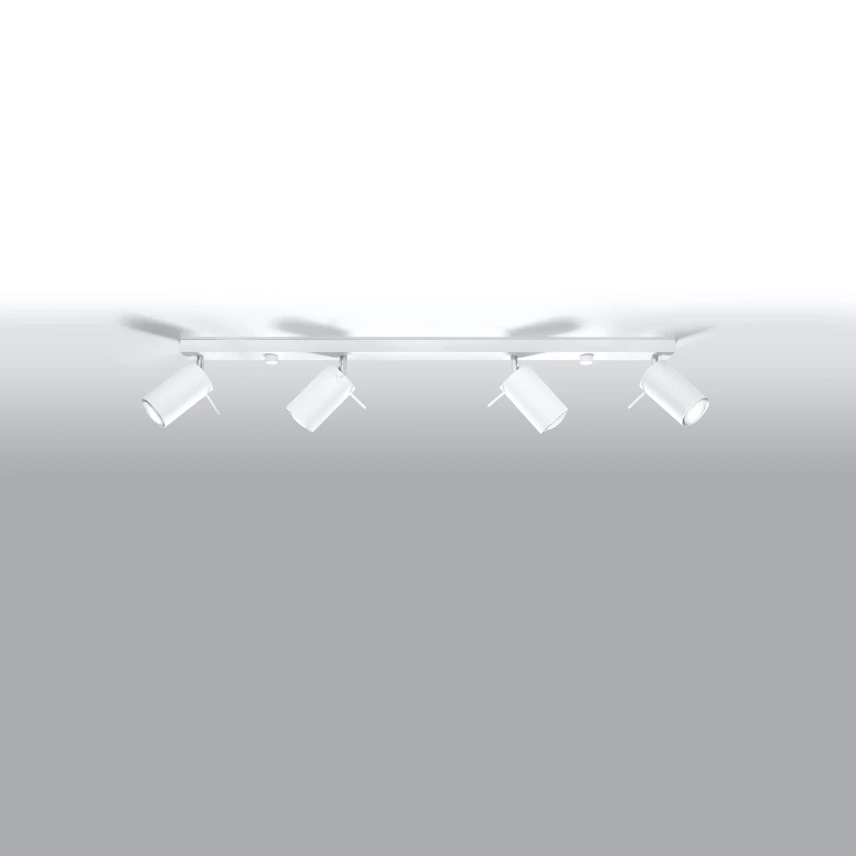 Deckenleuchte "RING 4L" – Deckenleuchte in Weiß | Dexity Lichtdesign