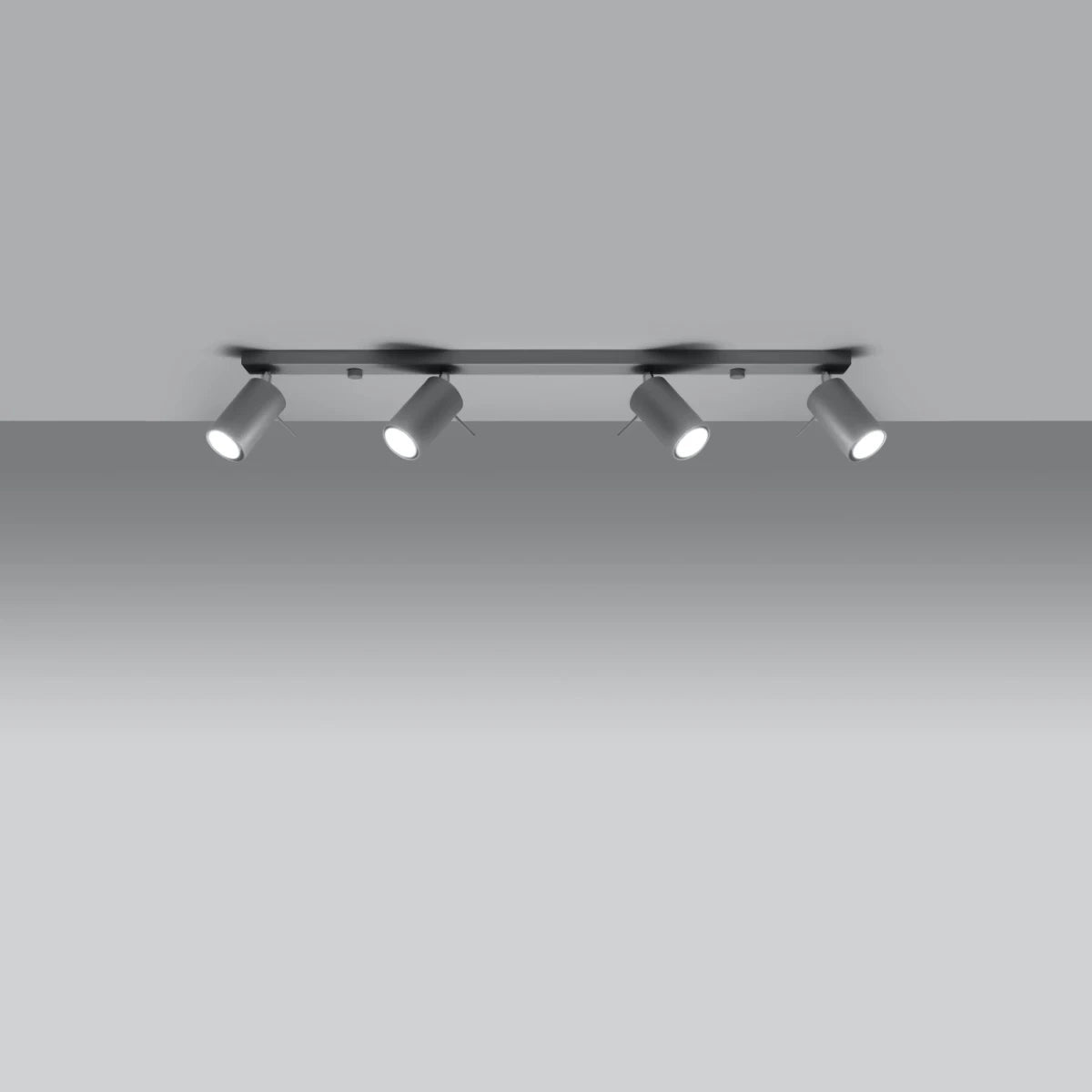 Deckenleuchte "RING 4L" – Deckenleuchte in Grau | Dexity Lichtdesign