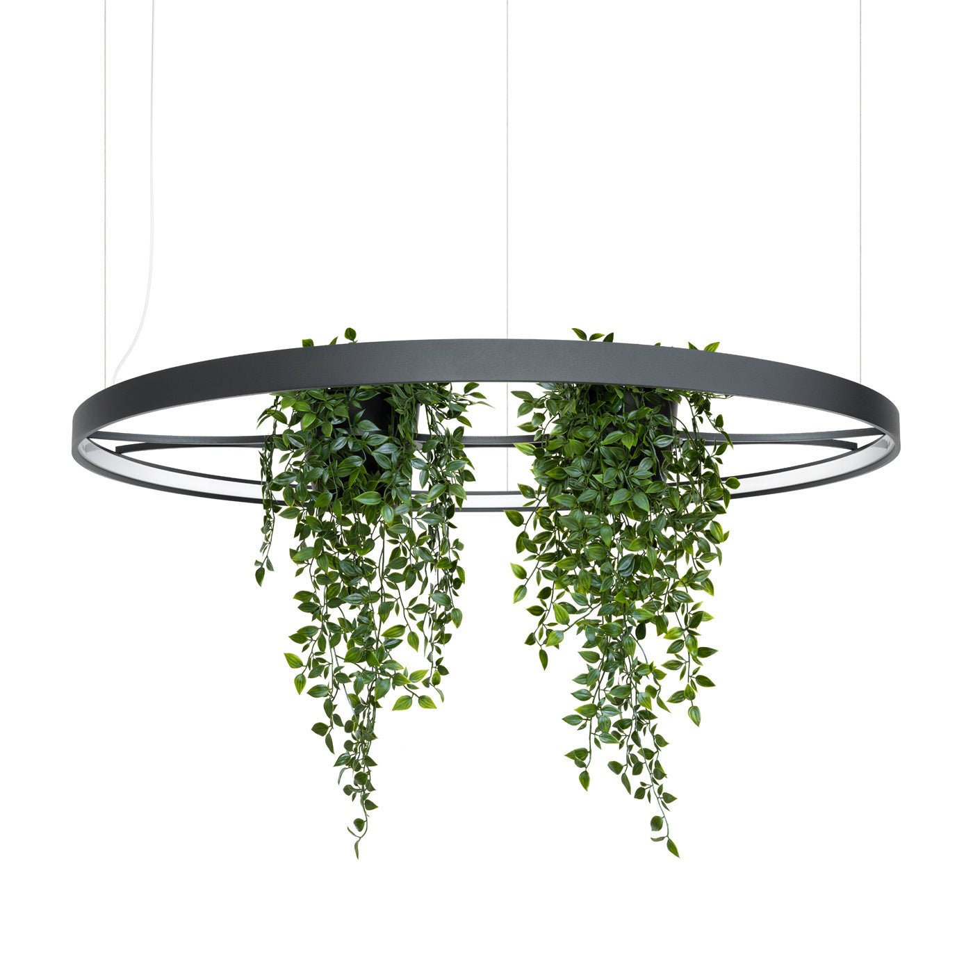 Kronleuchter "RIO BIO 110" 4000K – Pendelleuchte in | Dexity Lichtdesign