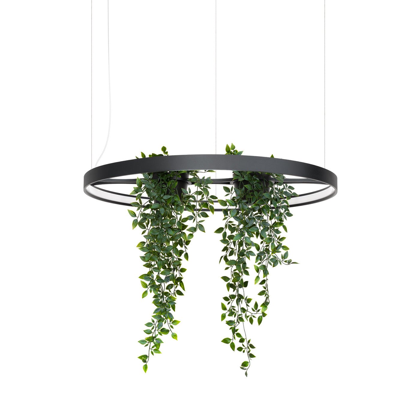 Kronleuchter "RIO BIO 78" 4000K – Pendelleuchte in | Dexity Lichtdesign