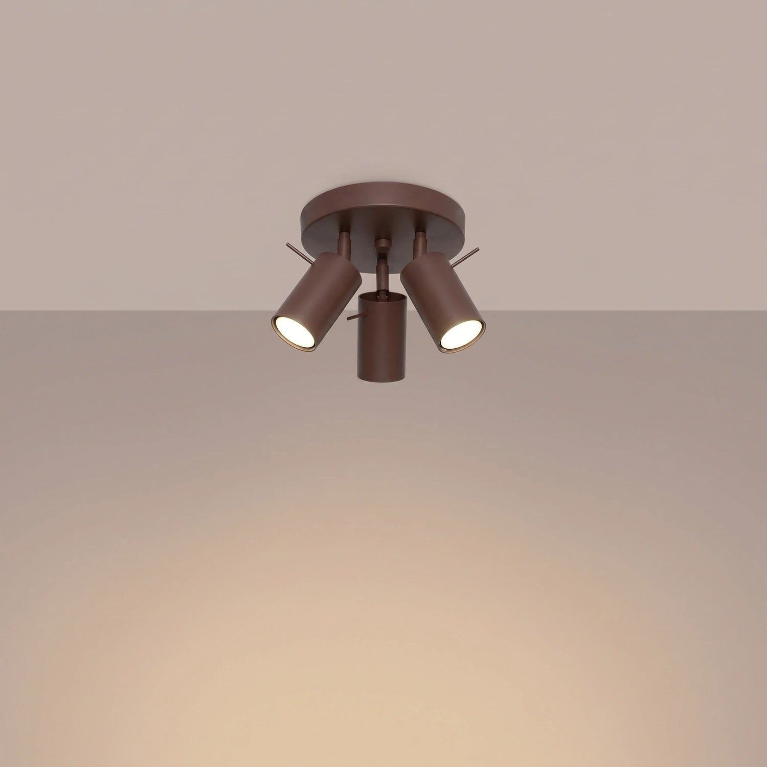 Deckenleuchte "RING 3P"
