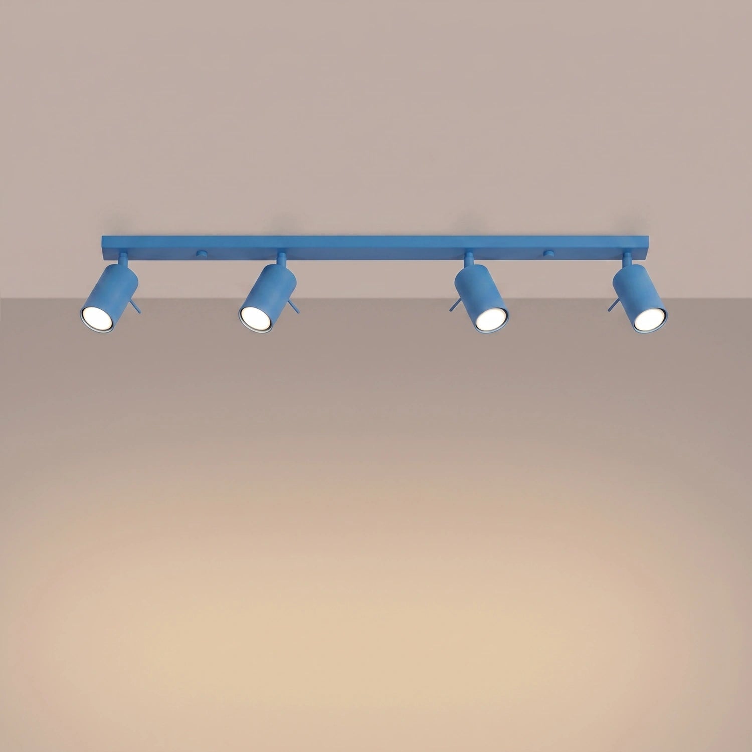 Deckenleuchte "RING 4L"
