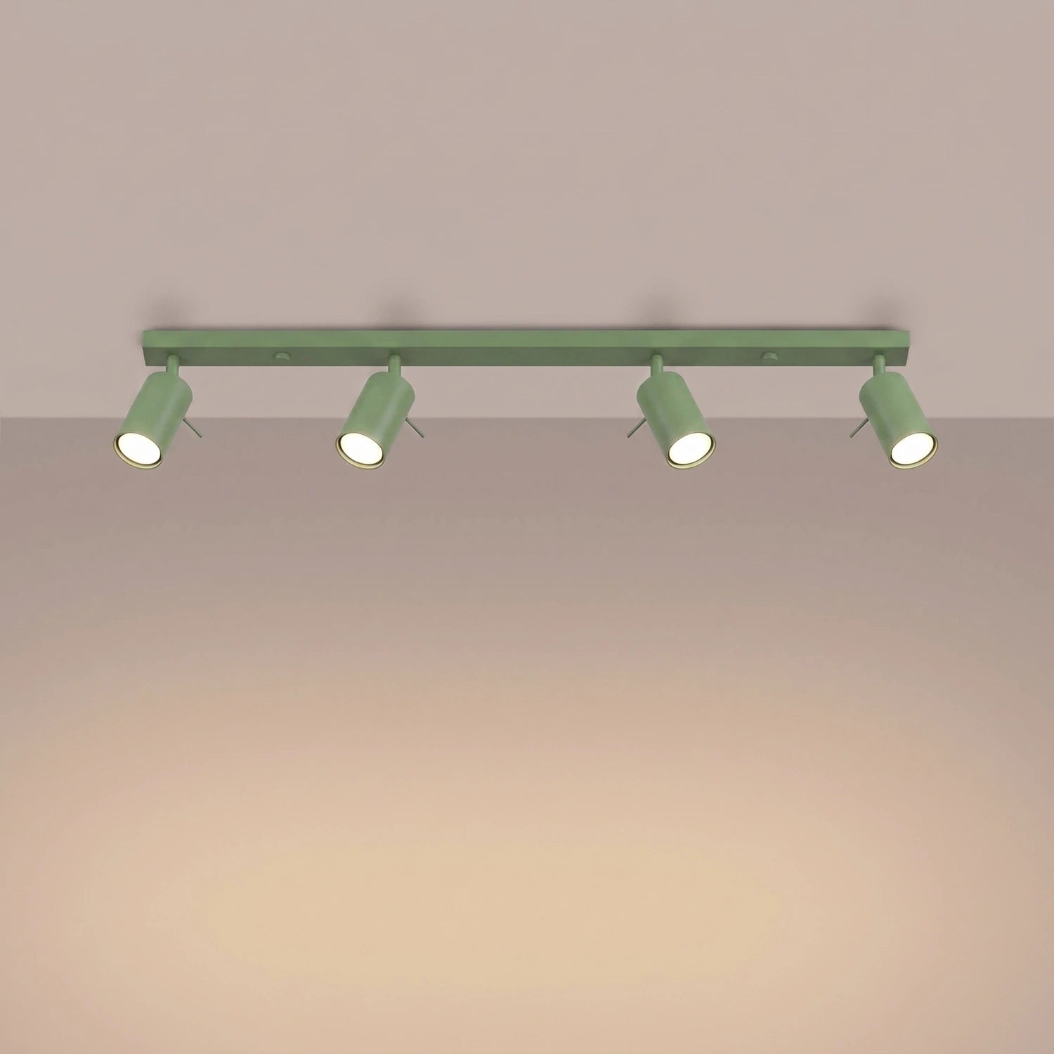 Deckenleuchte "RING 4L"