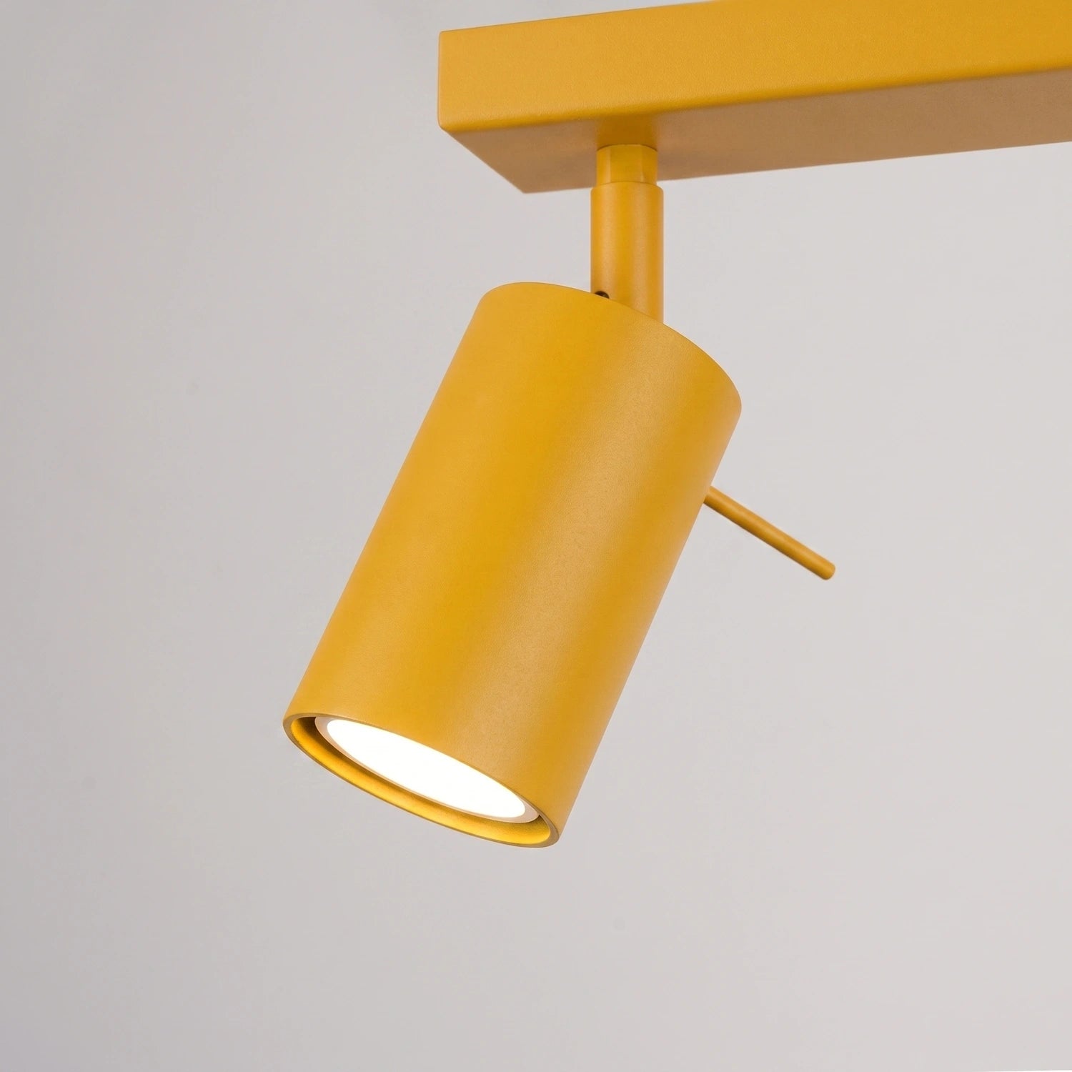 Deckenleuchte "RING 4L"