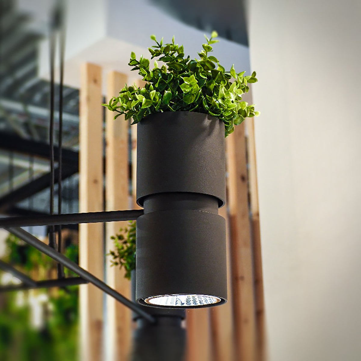 Wandleuchte "KUKKIA" – Wandleuchte in | Dexity Lichtdesign